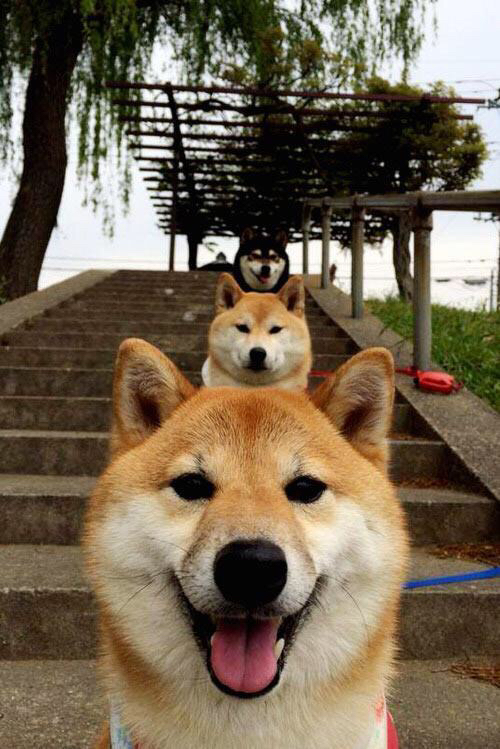 开云网址-《Valorant战术天王战，逆转惊喜不断》